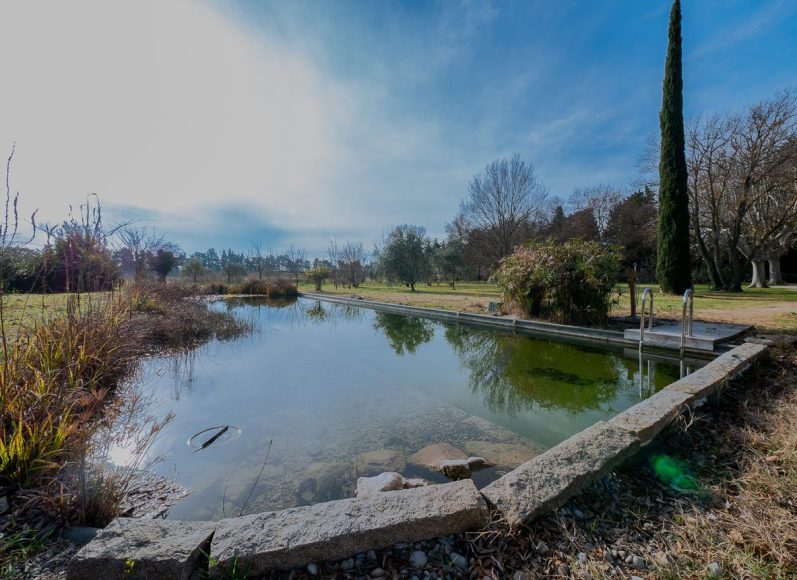 Piscine naturelle avec des plantes autour et des arbres en arrière-plan. 